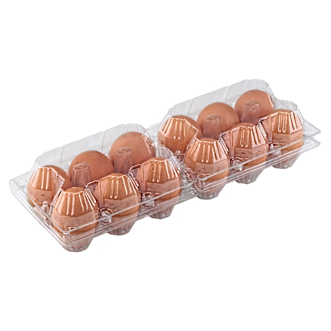 Упаковка для куриных яиц, 12 ячеек (пластик)