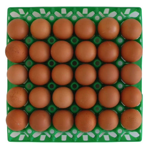 Упаковка для куриных яиц многоразовая, 30 ячеек (пластик)