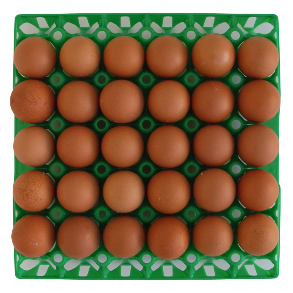 Упаковка для куриных яиц многоразовая, 30 ячеек (пластик)
