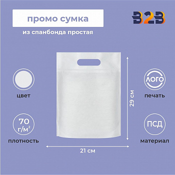 Промо сумка из спанбонда простая, 21x29 см