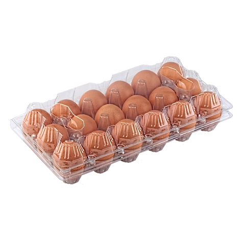 Упаковка для куриных яиц, 18 ячеек (пластик)